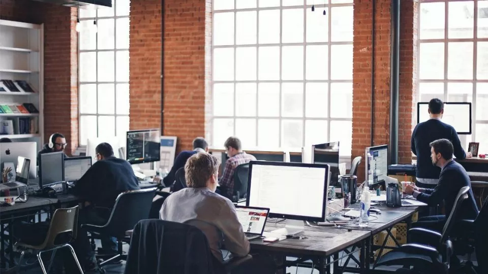 Как выбрать веб-студию в Петергофе по кейсам