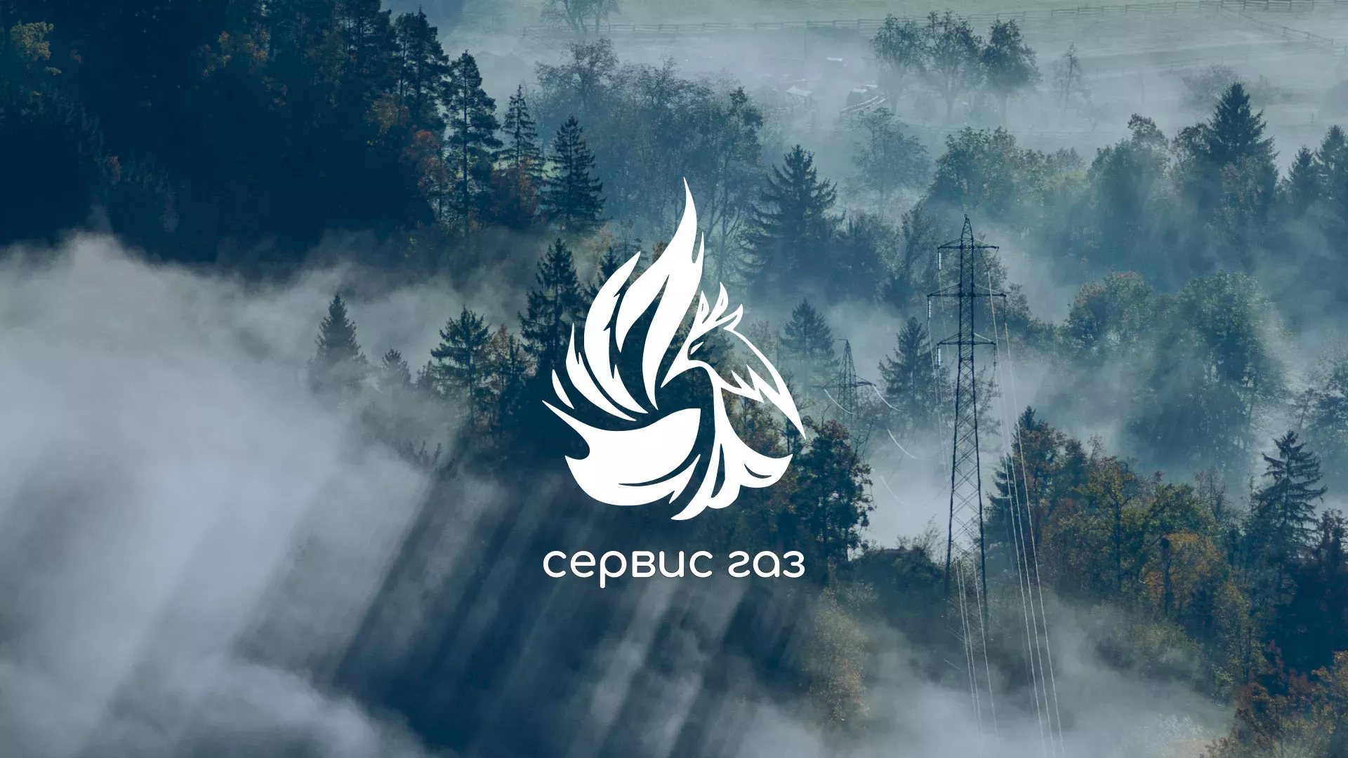 Создание сайта компании «Сервис газ» в Петергофе