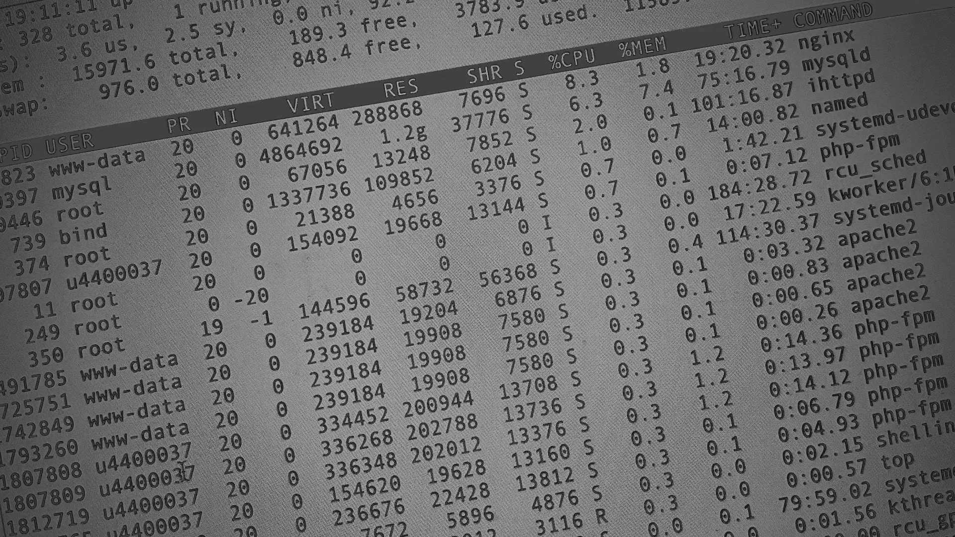 Настройка сервера в Петергофе