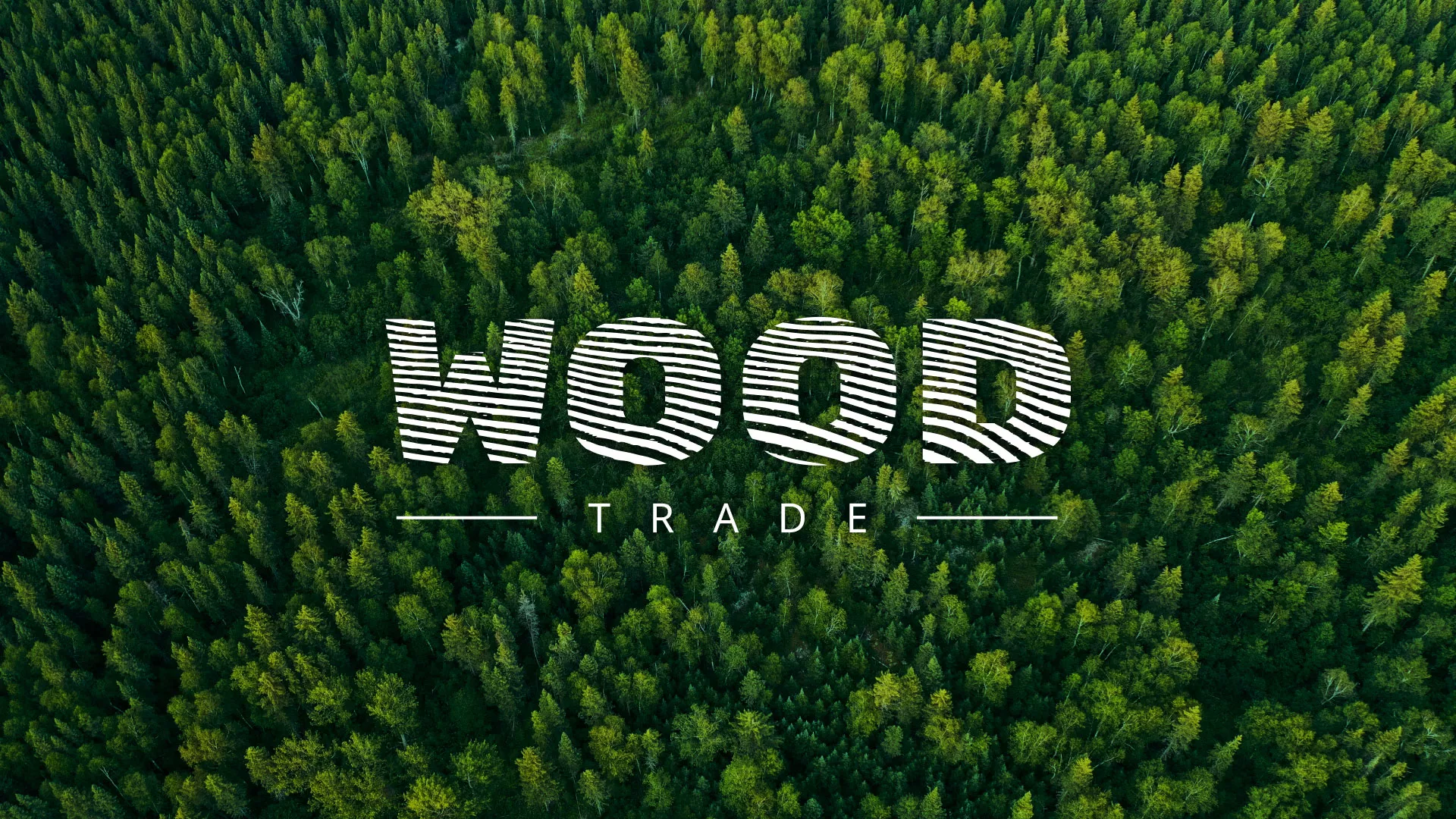 Разработка интернет-магазина компании «Wood Trade» в Петергофе