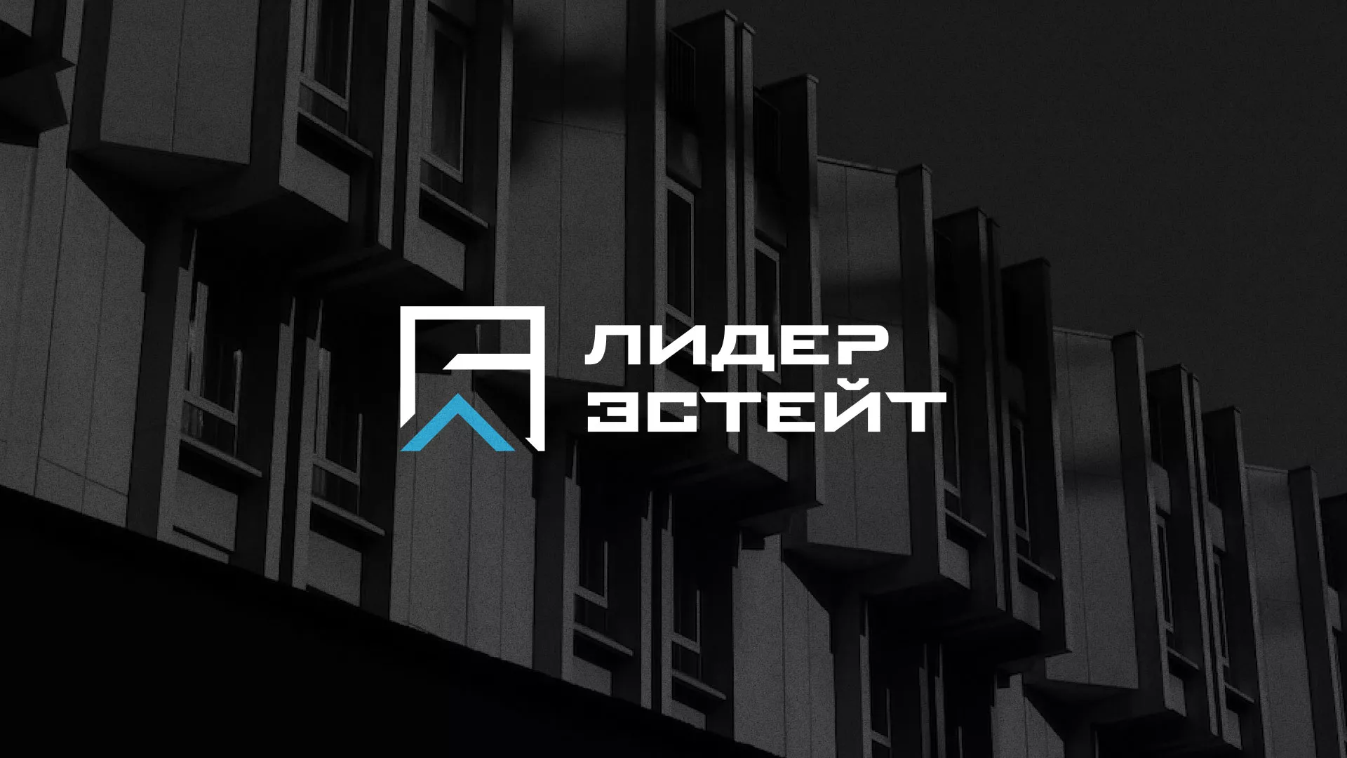 Разработка логотипа агентства недвижимости «Лидер Эстейт» в Петергофе
