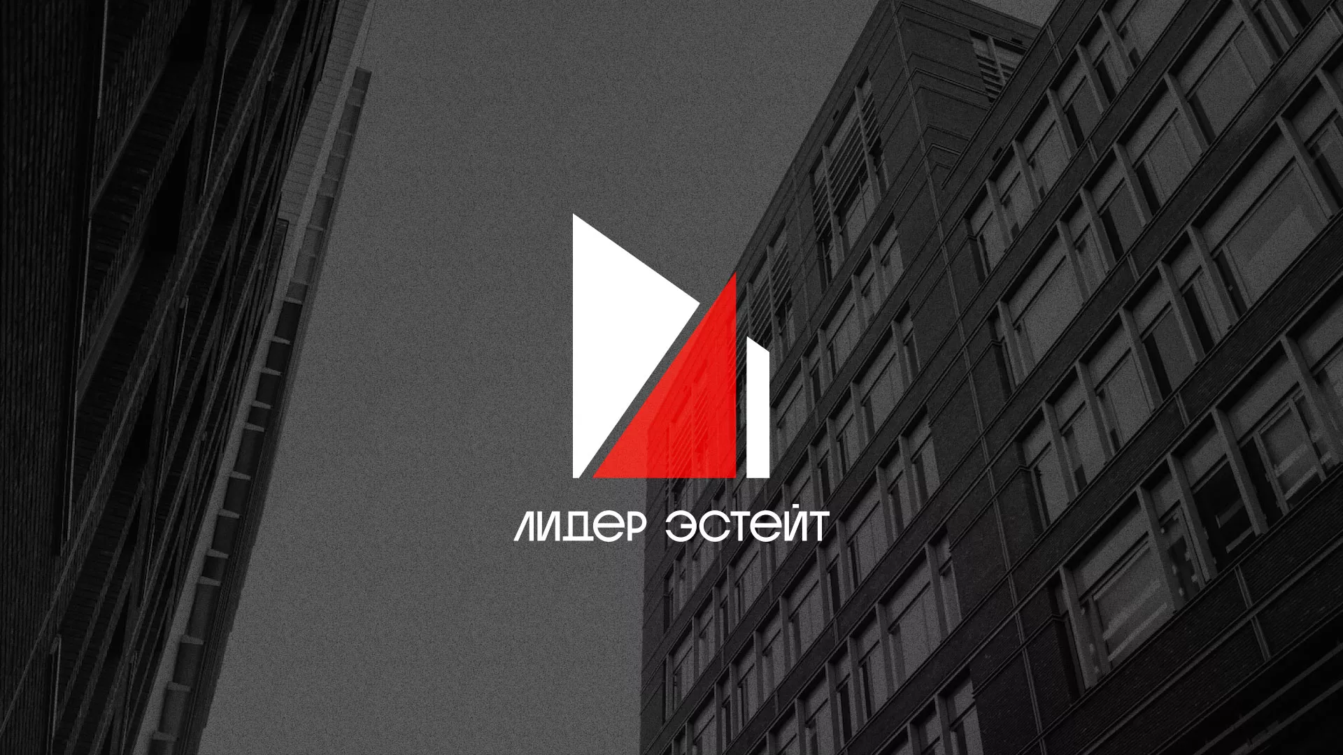 Сделали логотип для агентства недвижимости «Лидер Эстейт» в Петергофе